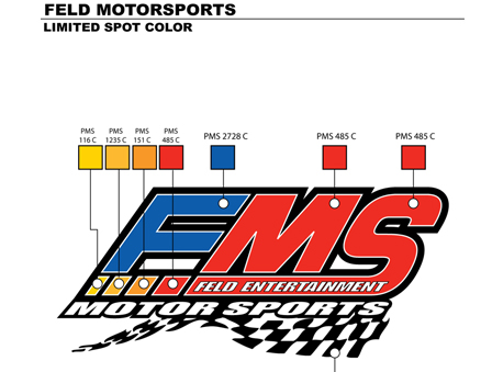 feld_ms1